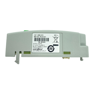 Allen Bradley PLC 2080-OF2 Analog Output